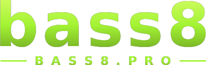 bass8 logo